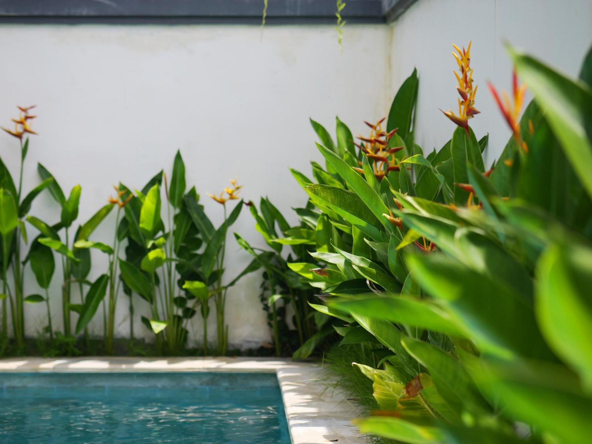 Ken Ken Guest House Seminyak Buitenkant foto